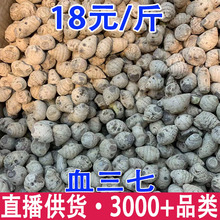 Ѫ���� ��؛���l �����ɽѪ���� Ѫ�����ݾ��� һ�����l