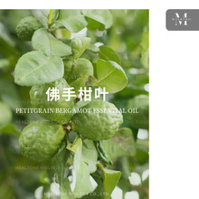 进口佛手柑叶精油 意大利产地直供 Bergamot Petitgrain单方精油