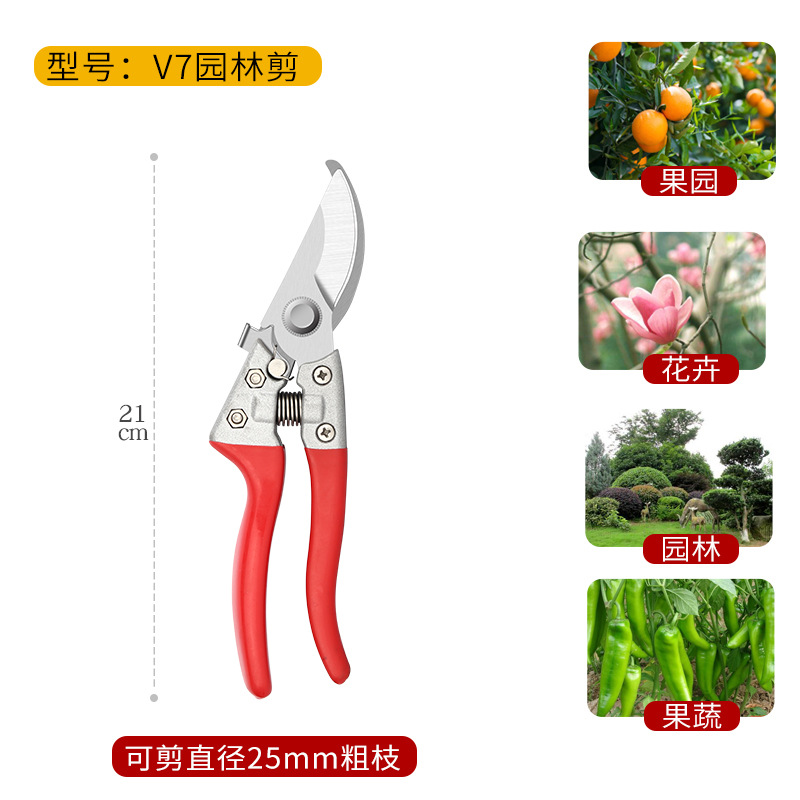 Tijeras de podar, tijeras de jardinería, tijeras de cuchillo, tijeras especiales para ramas, tijeras de jardín, tijeras de corte de flores de poda de árboles frutales