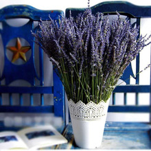 新疆薰衣干花花束满天星永生花家居卧室装饰摆件生日包邮抖音跨境