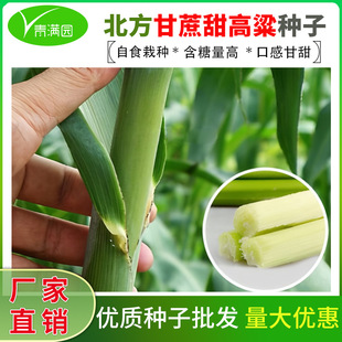 ��U�N�Ӵ����＾��������������N��ˮ��������U�ѱ���С������