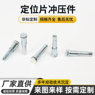 304 Stainless Steel Countersunk Head Expansion Screw Screw Pipe Internal Thread Casing Screw Flat Head Splint Screw Locking Screw