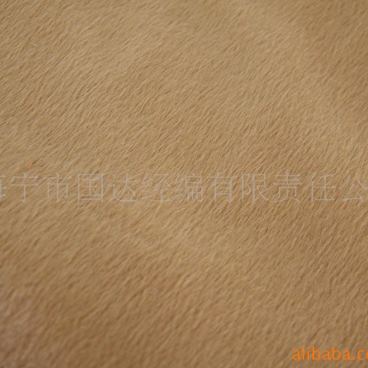 供应短毛绒 经编短毛绒 经编有光丝光布 丝光平布