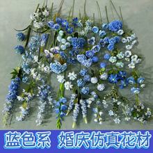 {ɫϵ滨cüٻŻmܛbĲ廨