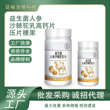 益生菌人参沙棘驼乳片批发   压片糖果甄选高品质多种元素配比