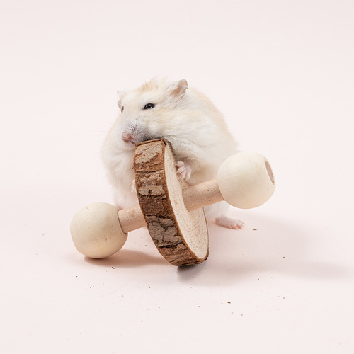 eBay Amazon AliExpress hamster parrot bird cat dog wooden small toys teeth grinding