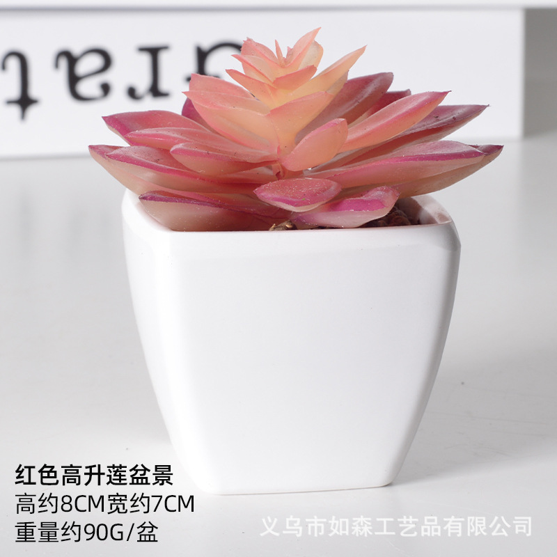 Simulación de plástico carnoso bonsai flor falsa combinación oficina interior escritorio plantas verdes pequeños adornos plantas artificiales al por mayor image 17