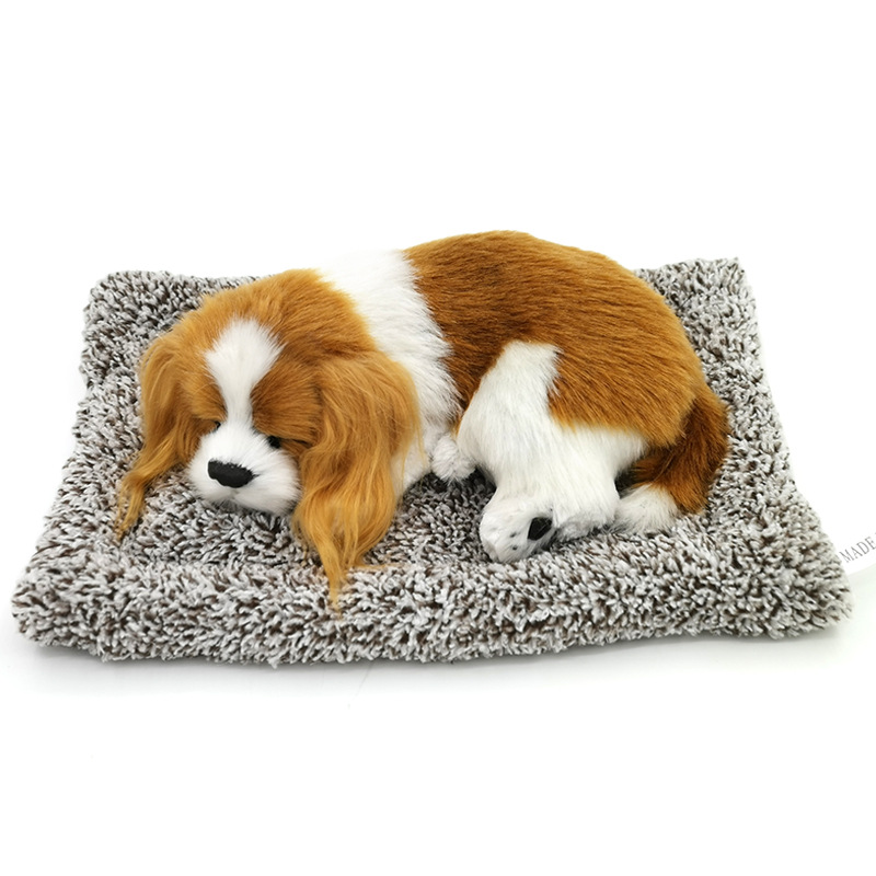 El perro Charlie envía un perro gris