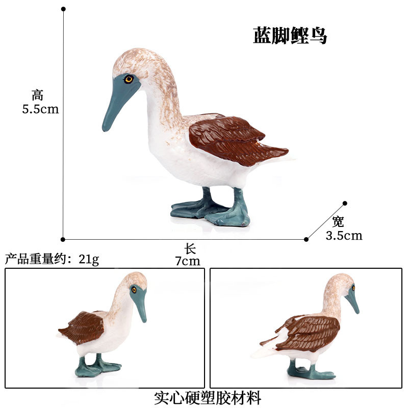 756 Blue-footed Booby【0.021KG】