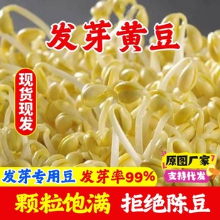 ���S���l��ѿ���ö��r���ԷN���D�����|ѿ��ˮ��lѿ�S��