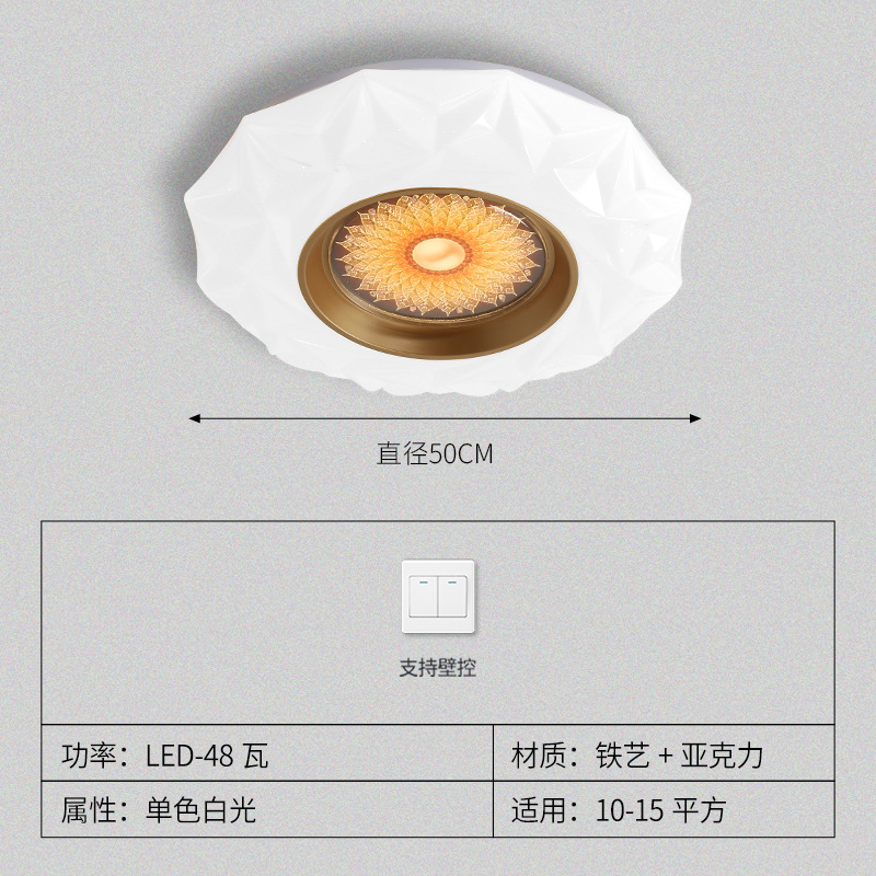 비화 - 50cm 백색광 48와트