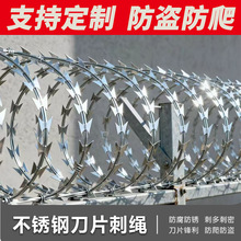 刺网钢丝刺绳铁丝网带刺防爬刺防盗刺钢丝网场庭院防盗滚筒刺网