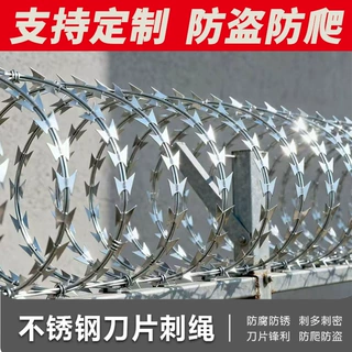刺网钢丝刺绳铁丝网带刺防爬刺防盗刺钢丝网场庭院防盗滚筒刺网
