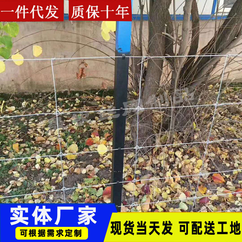 养牛养鹿防护网全钢环扣型防鹿网草原养殖围栏网出口不锈钢养鹿网
