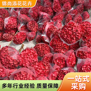 ���l���~������֦�ҾӲ廨��c�bW�t������ɫ���~����S�ҹ���