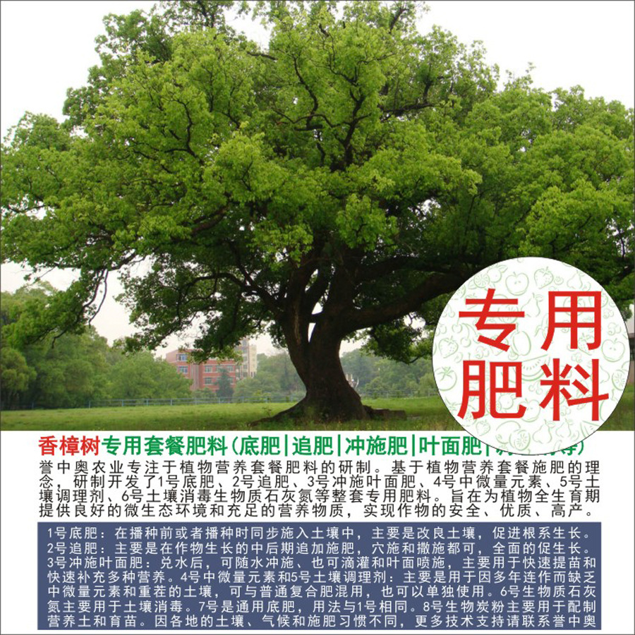 50�����а�������ר���л��ʸ��Ϸʵ׷�׷��Ҷ��ʳ�ʩ��ˮ�ܷ�