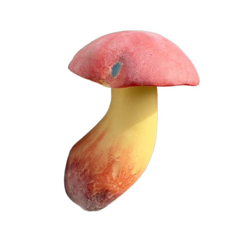 云南野生菌冰箱贴 手工制作 磁铁冰箱贴 蘑菇冰箱贴 冰箱贴磁吸式|undefined