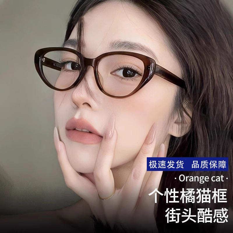 High-End Prescription Glasses for Women Y8045X Danyang Eyewear Retro Modern Cat-Eye Plain Glasses Frame Wholesale