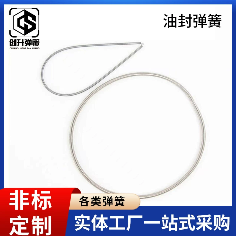 Подгонянная Натяжная пружина оборудования весны аксессуаров оборудования весны утка весны медицинская небольшая особенная