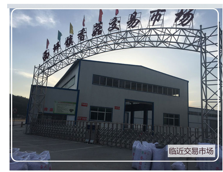 2020最新详情套用_11