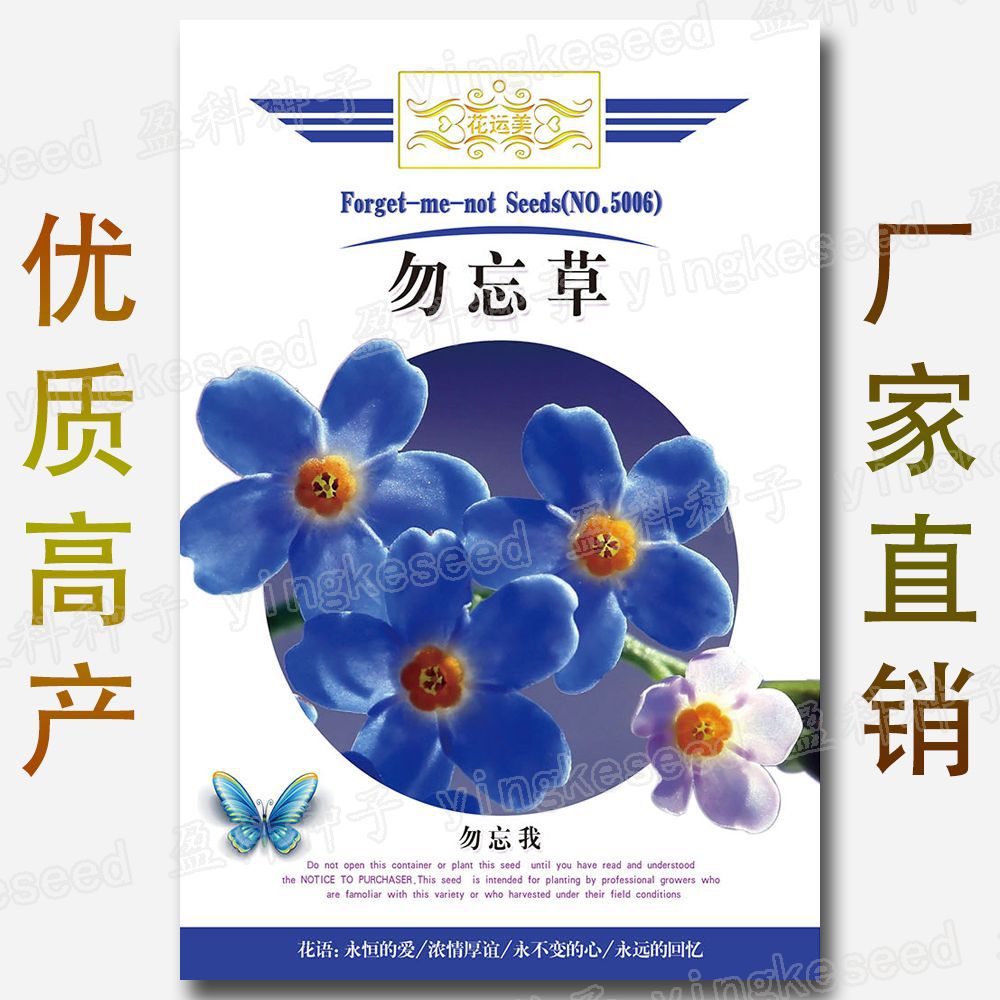 勿忘我种子约300粒勿忘草种籽四季阳台庭院绿化鲜花卉种子批发 种苗花卉网