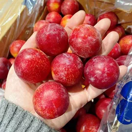 方便面类;膨化;面筋制品