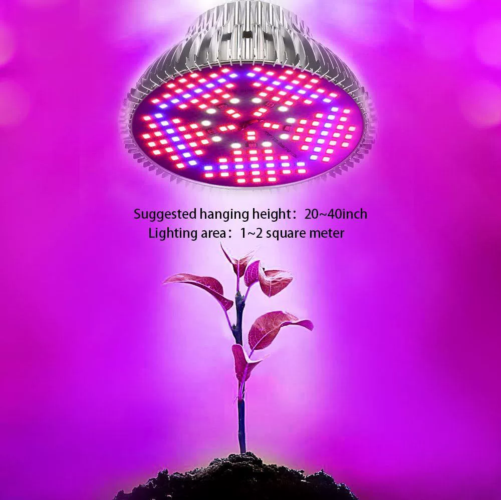 LED plant lamp, fill light solar-powered, comfortable light spectrum