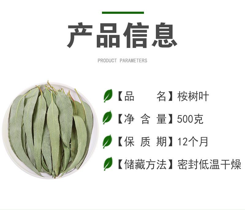 Eucalyptus Leaves (Eucalyptus globulus) — Dried Blue Gum Leaf for Sachets & Herbal Blends quality and texture