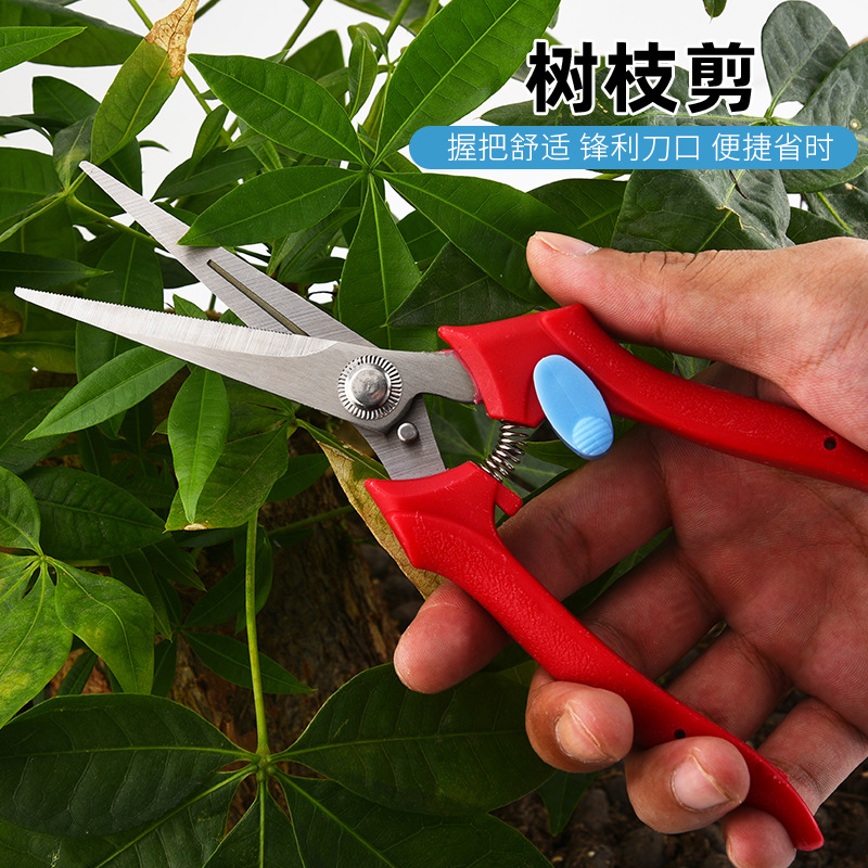 现货批发园艺剪刀 果树修枝剪 园林剪刀不锈钢树枝剪刀修花枝剪