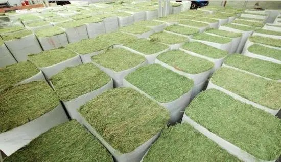 u=2450930996,3996948407&fm