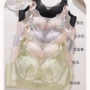 大码女士新品聚拢文胸