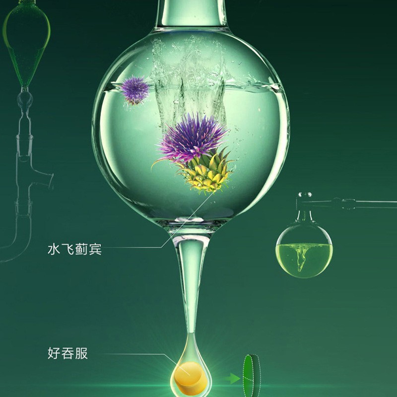 厂家直发 现货爆款国医制药奶蓟草片一件 代发批发0.5g*120片现货|undefined