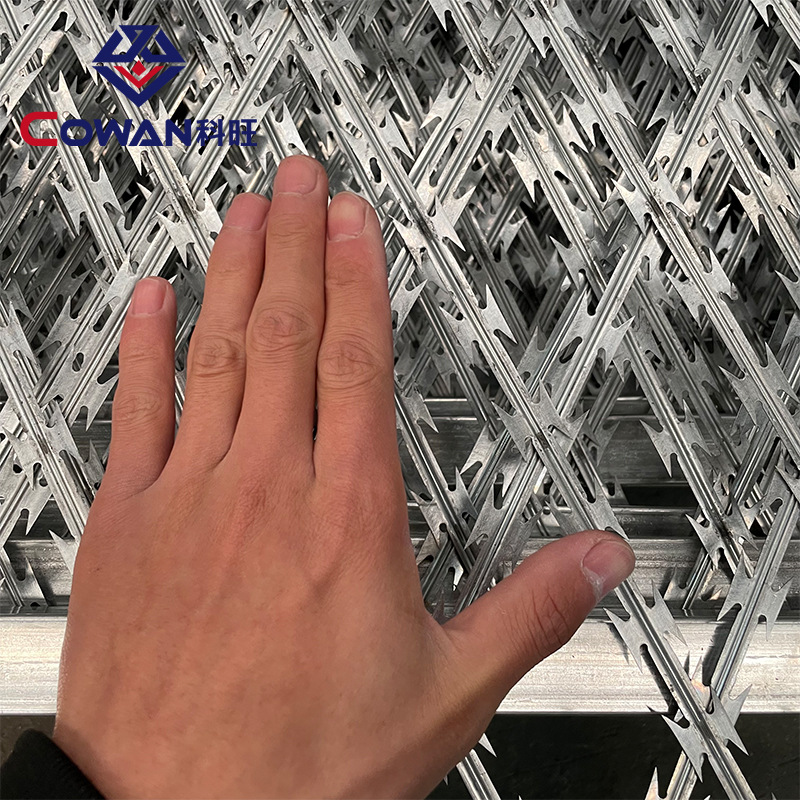 Hoja galvanizada de la inmersión caliente alambre de púas anti-robo red doble espiral hoja Red Anti-escalada alambre de púas verde