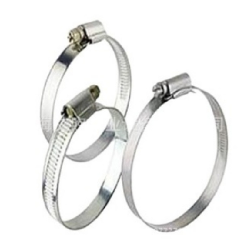 厂家供应304/316不锈钢德式卡箍 工业用镜面抛光型美,意,英式喉箍