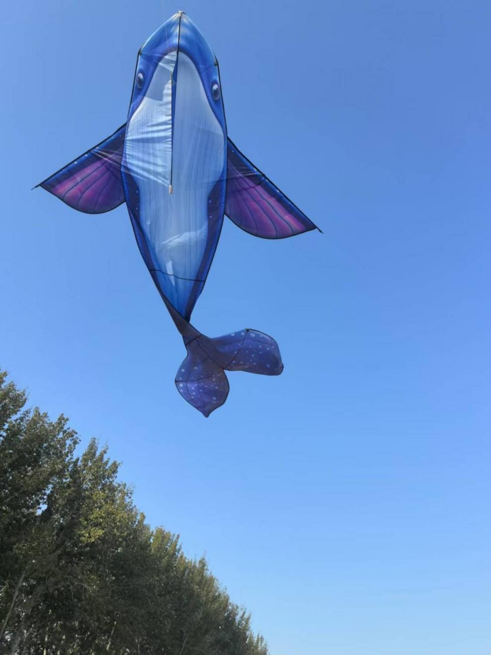 dcf00edb-f03b-4e2d-bea7-a552ad1878fc.jpe