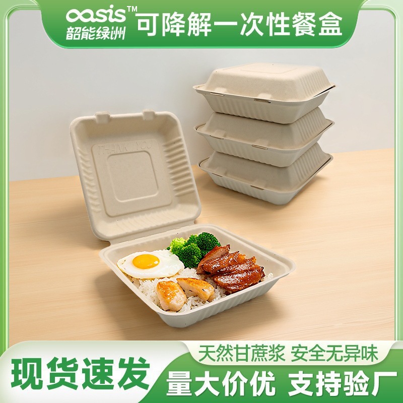 9 pulgadas de pulpa de bambú compostable biodegradable sin caja de comidas de grado alimenticio caja de bloqueo ecológica cubierta desechable