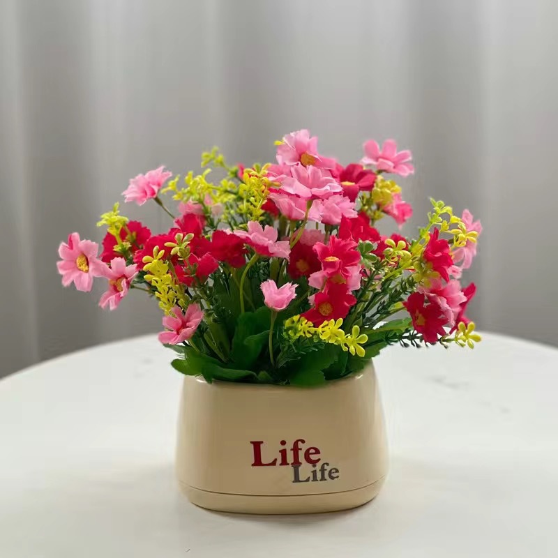 라이프 분지-푸른 국화 핑크 점프