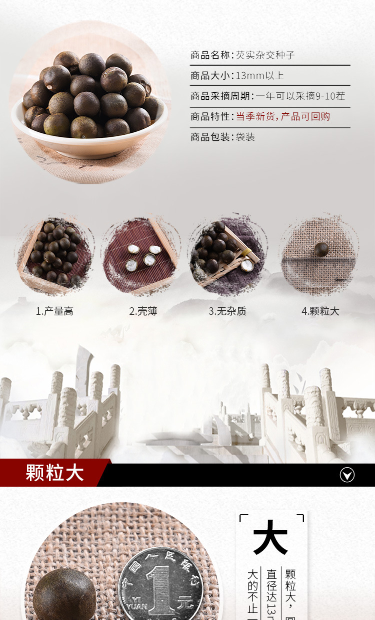 Qian Shi Gorgon Fruit Seeds Euryale Ferox Hybrid Variety Thin Shell Large Seed High Yield key features