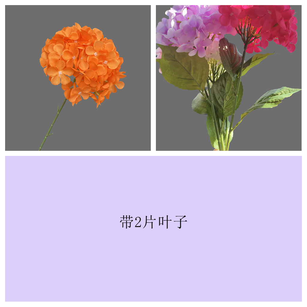 72개입 잎 달린 오렌지