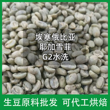 新產季埃塞俄比亞 耶加雪菲G2 水洗咖啡生豆批發可代工烘焙磨粉