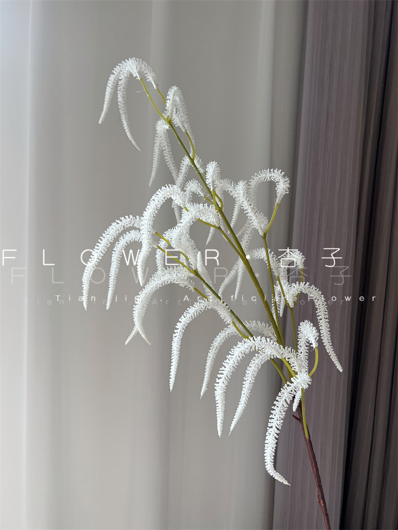 부드러운 흰색