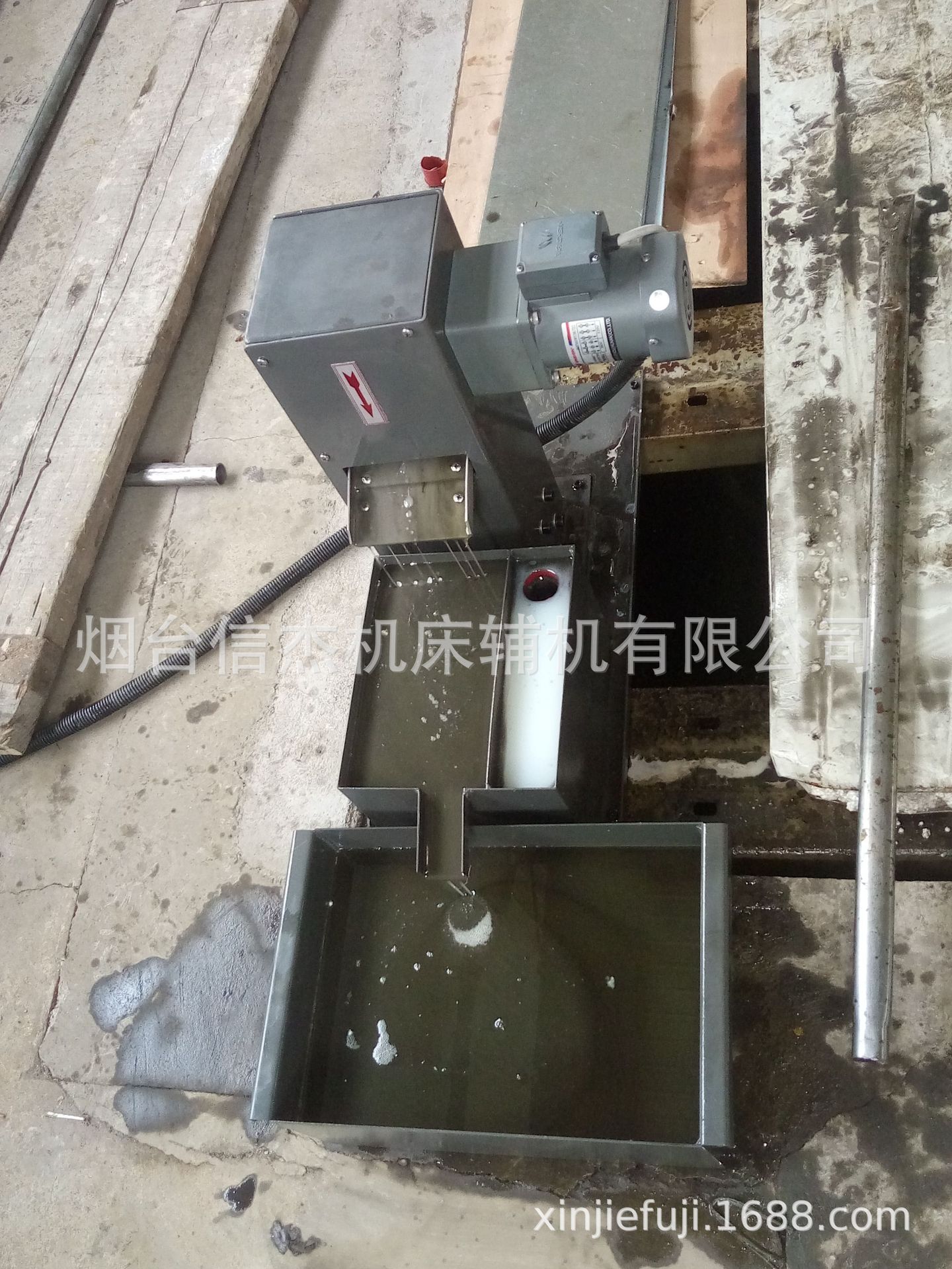 浮油分离机厂家刮油机撇油机带式油水分离器除油器刮油带节能高效