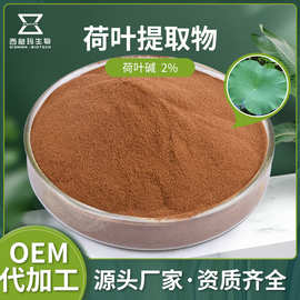 荷叶提取物 荷叶碱2% 水溶荷叶粉 食品级原料现货包邮