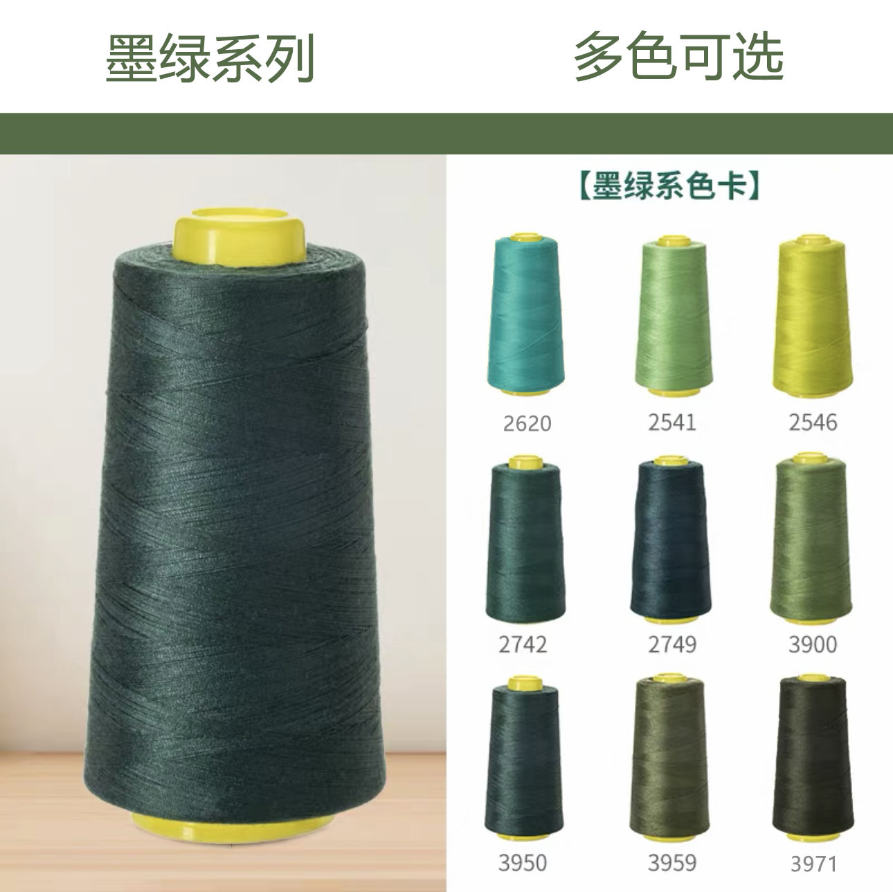 진한 녹색 시리즈 [총 9권]