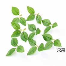 手感仿真花仿真绿植叶玫瑰花花叶胶布梅花人造叶绢布叶子蛋糕装饰