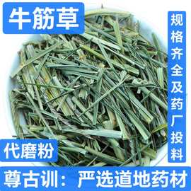 牛筋草 中药材批发 牛筋草 蟋蟀草 千金草 品种齐全 承接订单