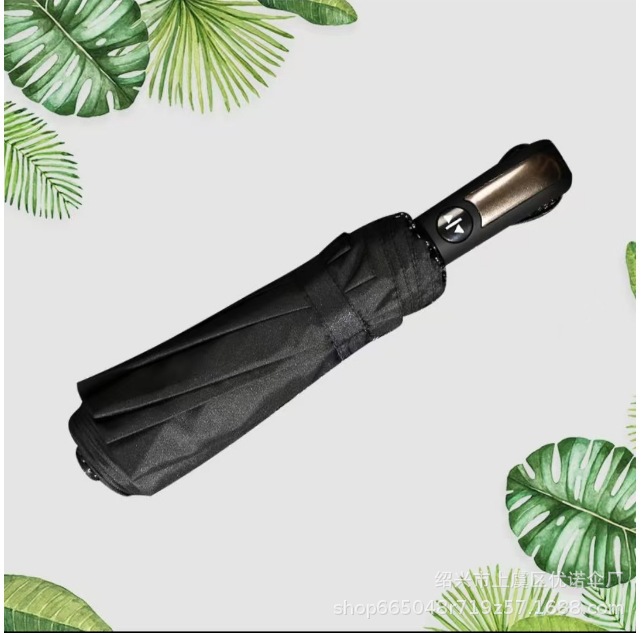 10가닥 전자동 비즈니스 3122 블랙