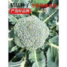 ���m���绨����G���{�������߲������{̦�����ļ��ﶬ���ԷN����