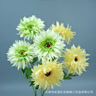 3�^ըë�շ��滨�ջ��ٻ����û��ļҾ��bzӰ�������l�Ҿ��b��