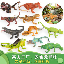 �������ģ���،m���������׃ɫ�������Ī������ɪ{�ჺͯ���